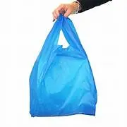 13x16 Color Bag