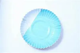 6 No Normal Paper Plate